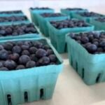 Pennsylvania launches $10M grant program to help fruit growers recover from April freeze