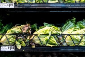 Cyclospora cases traced to hospital cafeteria in N.H.