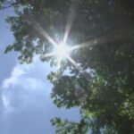 High temperatures break records in Rapid City