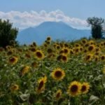 Mount Olympus, home of the ancient Greek gods, is a candidate for the UNESCO World Heritage List