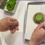 With a historic 3 Michelin stars, a Mexican restaurant in San Francisco defies stereotypes