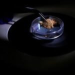 Brazil uses forensic science to trace gold's origin and tackle illegal mining in the Amazon
