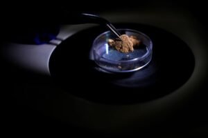 Brazil uses forensic science to trace gold's origin and tackle illegal mining in the Amazon