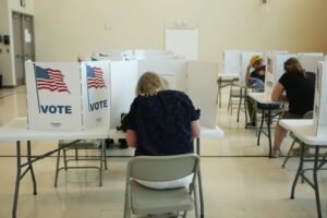Brennan Center report predicts mass voter challenges likely in midterm elections