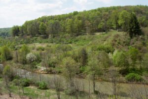 State Supreme Court rules warrantless searches by Pa. game officials are unconstitutional