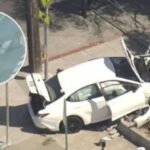 7 and 4-year-old brothers take parents' car, critically injure woman walking dog in Oakland crash