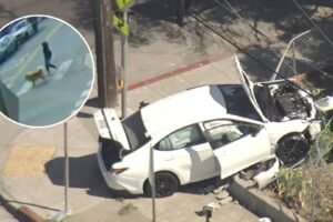 7 and 4-year-old brothers take parents' car, critically injure woman walking dog in Oakland crash