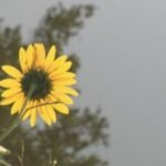 Before fall arrives, more heat ahead