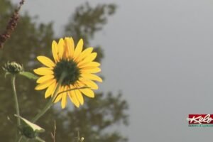 Before fall arrives, more heat ahead