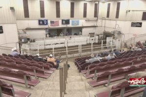 Cattle ranchers, producers frustrated with prices