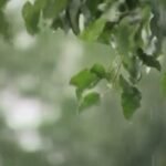 Drought tightens grip on KELOLAND