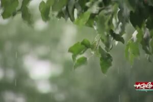 Drought tightens grip on KELOLAND