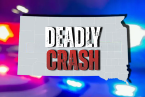 Name released in fatal crash near Tyndall