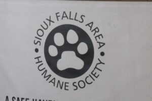 SFAHS celebrates 'record-breaking day'