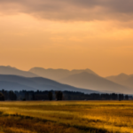 Who owns Montana?