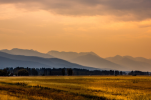 Who owns Montana?