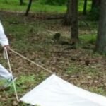 Pennsylvania tick season can hide a second dangerous infection