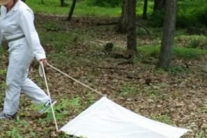 Pennsylvania tick season can hide a second dangerous infection