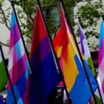 LGBTQ+ adults more likely to miss or forgo healthcare, survey finds