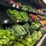 A summer of recalls exposes holes in the nation’s food safety net