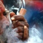 Nepal’s Gandaki province legalizes medical cannabis farming and use